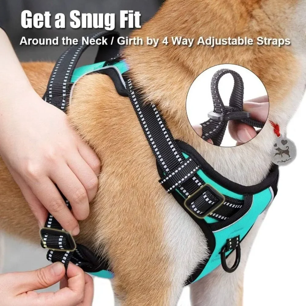 Dog Harness - Size Medium - New